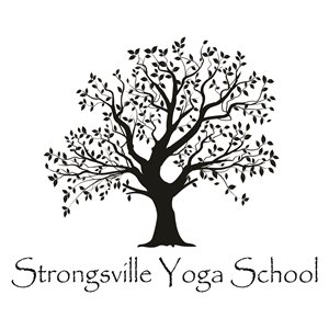 Yoga Teacher Training In Columbus New With Yoga Six